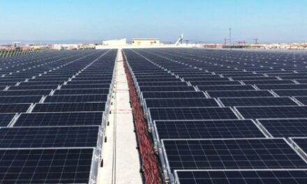 Instala Greening Group más de 3,515 paneles solares para uso deportivo en México