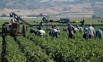 Producción Agrícola De Bc Aumentó 4.76% En 2023