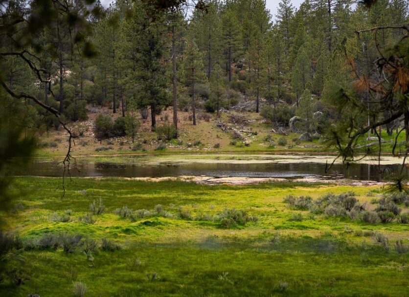 Avanza megaproyecto ecoturístico Colorado Ensenada