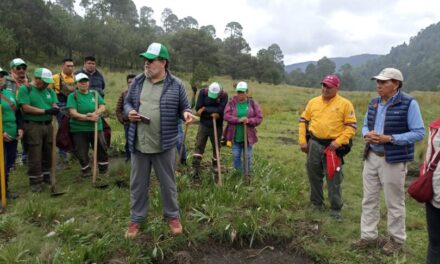 Propone Nación Verde trabajar en proyectos ecológicos de largo plazo