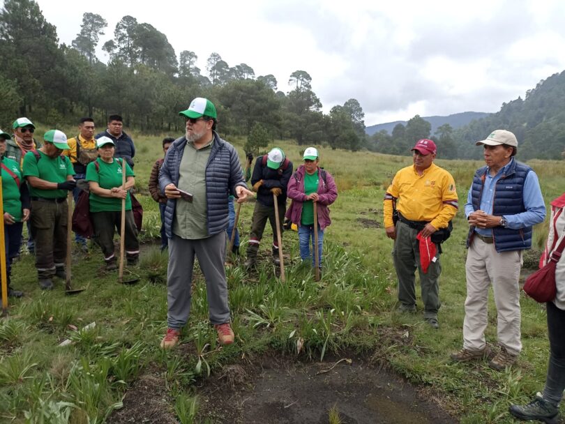 Propone Nación Verde trabajar en proyectos ecológicos de largo plazo