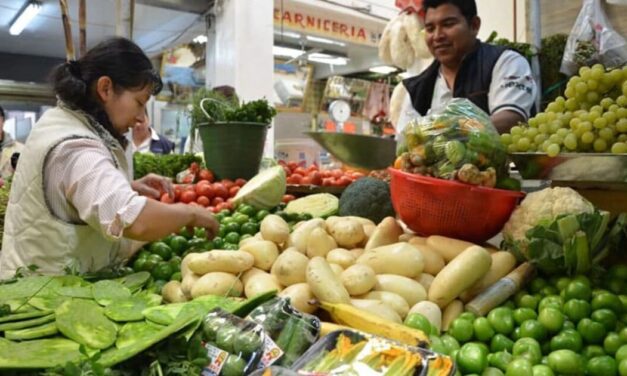 Desaceleró la inflación en primera quincena de diciembre