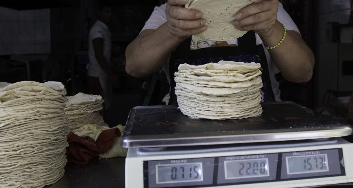 Advierten que aranceles de Trump impactarán en la tortilla