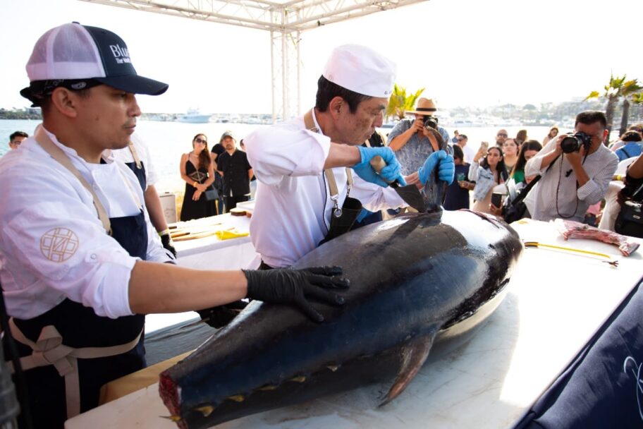 Preparan “Cocina la Baja” con lo mejor de los mares de BC