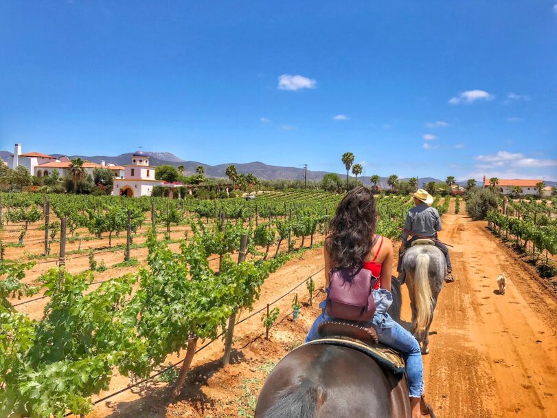 Perdería turismo Valle de Guadalupe: Fetraex